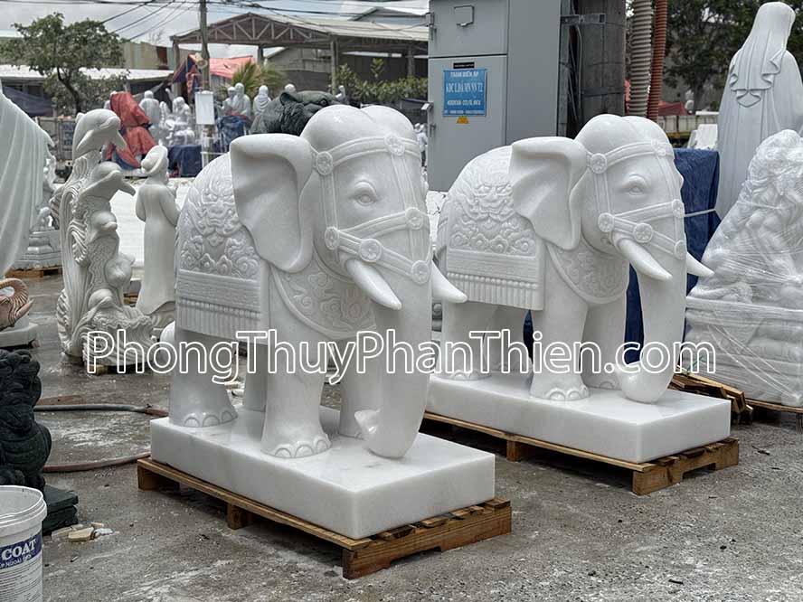 tuong-voi-phong-thuy-131-tr-2025-ap-ava.jpg